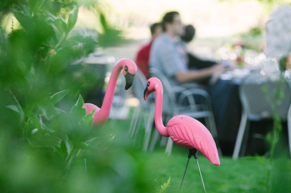 Flamingo.jpg